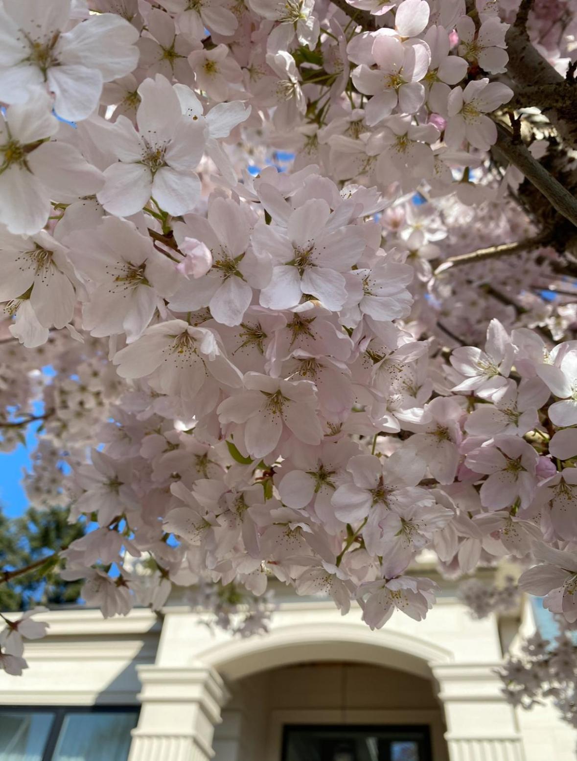 Vancouver Shangrila House Richmond Luaran gambar